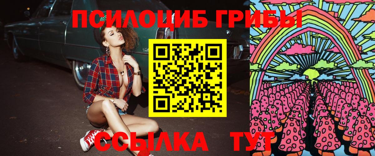 Галлюциногенные грибы MAGIC MUSHROOMS  Вход с VPN  Северодвинск  Галлюциногенные грибы Psilocybine cubensis 